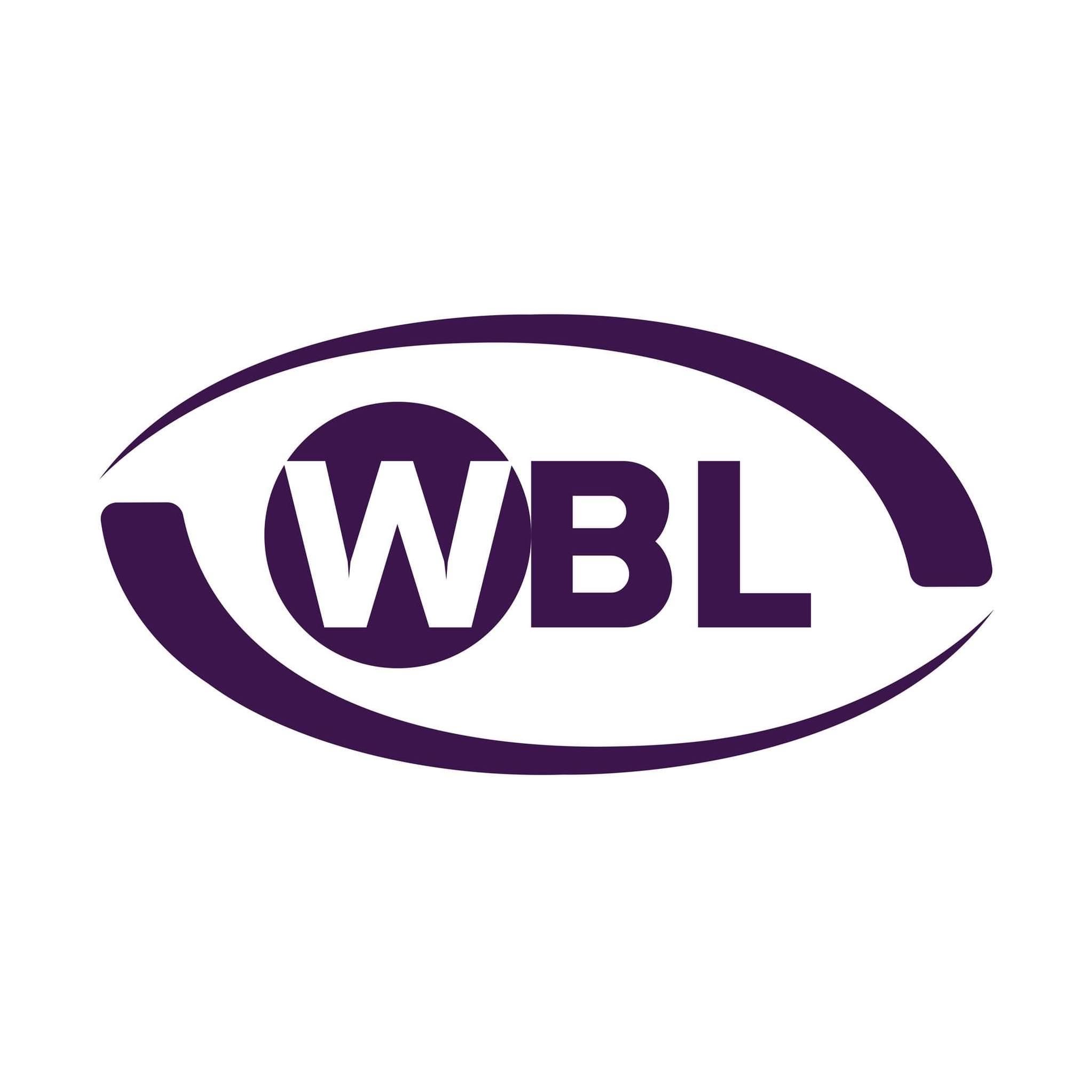 World Bridge Logistic